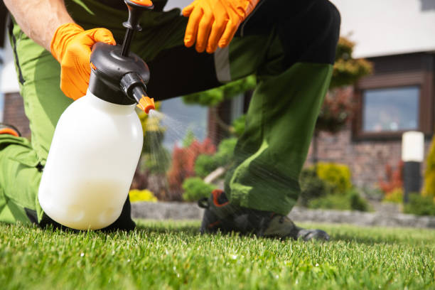 Pest Control for Restaurants in Naperville, IL